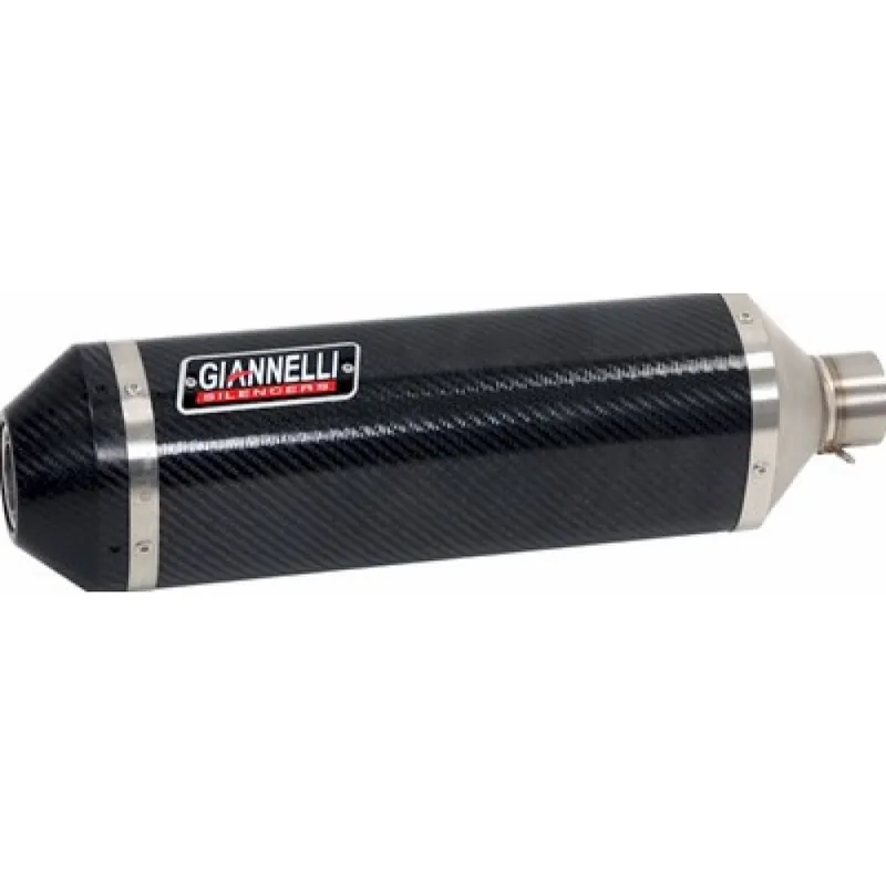 Auspuffanlage Giannelli Ipersport Slip On Carbon mit Carbonendkappe mit ABE für Kawasaki Online Kaufen