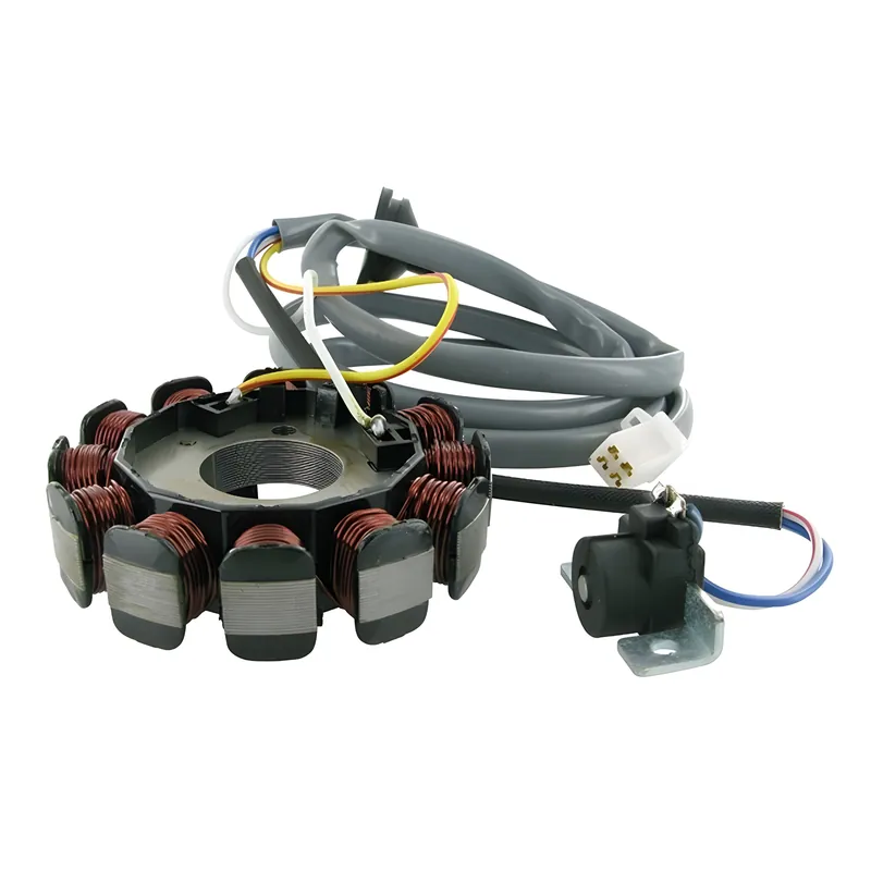 Lichtmaschine (Zündung) Motoforce, ohne Rotor für Minarelli (ab. Bj. 2004), EURO II Online Kaufen