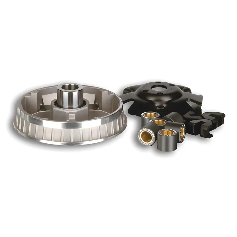 Begrenztes Angebot Variomatik Malossi Multivar für Kymco Dink, 125 - 150 - 200 4T 20x17 mm, 6 Rollen, 9,5/13,5g