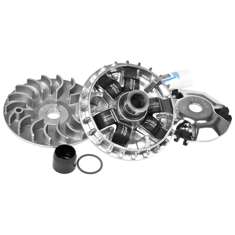 Variator Polini Hi-Speed für Piaggio Liberty 125 3V, Vespa Primavera 125 3V Solange Der Vorrat Reicht