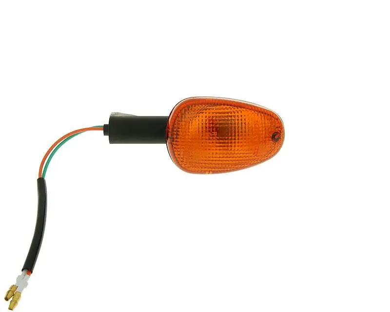 Sonderaktion Blinker hinten rechts für Malaguti F12 (01-)