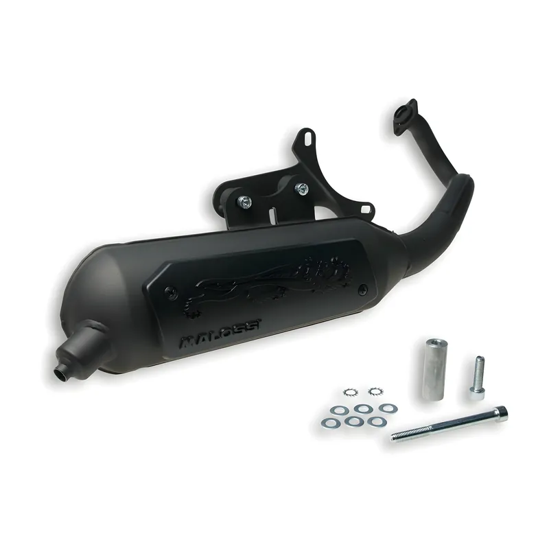 Top-Angebot Auspuff Malossi Wild Lion mit Zulassung für SR50 Street Bj. 2007 / Scarabeo Bj. 2006-07 / Runner 2002-04