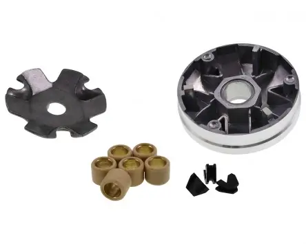 Variomatik STANDARD kompatibel für Peugeot stehend / liegend / Honda Hercules Buxy, Ludix, Speedfight, BSV Bali, SFX, X8R 50ccm 2-Takt Variator Zertifiziert