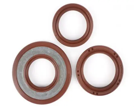 Begrenztes Angebot Wellendichtring Satz Motor FKM, Smallframe 24mm Umrüstung auf ETS BGM PRO kompatibel für Vespa V50, V90, SS50, SS90, PV125, ET3