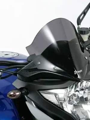 Garantierte Lieferung ERMAX Scheibe mit ABE CB1000R 2008 - 2016