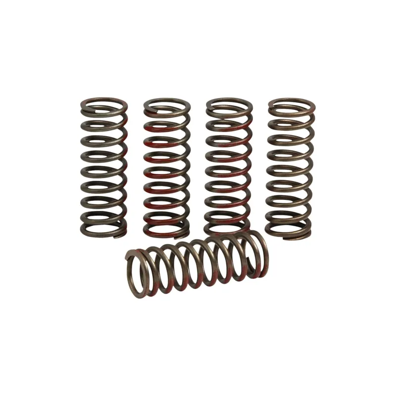 Pro Circuit Kupplungsfedernsatz für Honda CRF 250 R CRF 250 RX 20–21 Neue Ware
