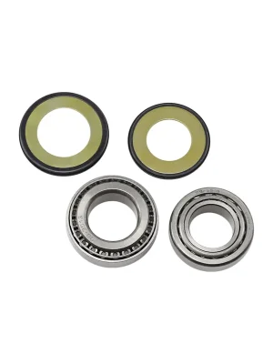 Aktuell All Balls Lenkkopf-Kegelrollenlager u. Dichtsatz f. Kawasaki ZX-6 90–02