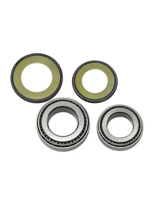 Versand Am Gleichen Tag All Balls Lenkkopf-Kegelrollenlager u. Dichtsatz f. Honda CBX 1000 79–82